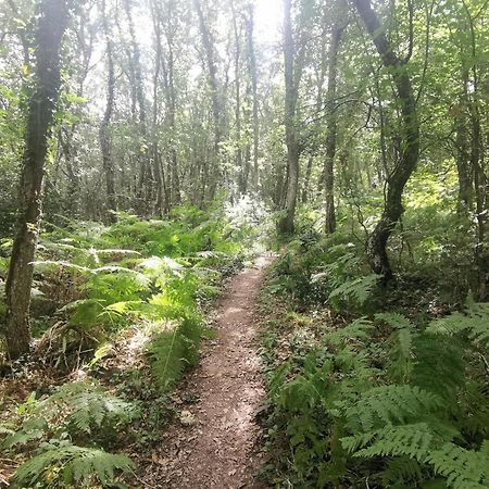Estancia Con Jardin Entre Golf Y Monte - Cerca Logrono Sojuela Zewnętrze zdjęcie